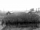 Немецкие военнопленные буквально упакованные в тесном загоне лагеря военнопленных