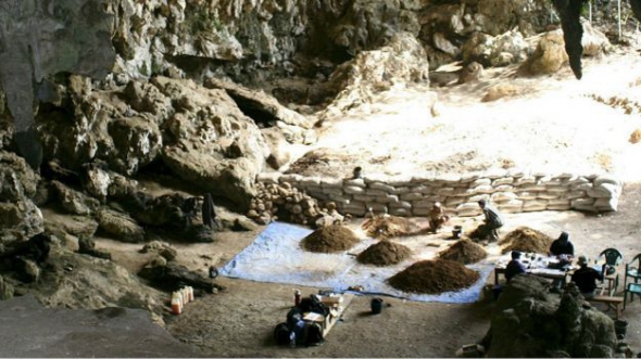 Сенсационное открытие было сделано в пещере Лианг Буа на острове Флорес в Индонезии.