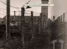 Ограждение Яновского концлагеря. По периметру лагерь был огражден двумя рядами колючей проволоки со сторожевыми башнями между ними. 1940-е гг.