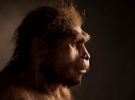Хомо эректус или человек прямоходящий, который считается непосредственным предшественником современных людей. Этот предок человека жил на территории нынешней Индонезии примерно 1,3 — 1 миллиона лет назад