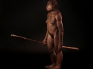 Человек флоресский женского пола. Она была ростом 1,06 метра и жила примерно 10 тысяч лет назад. Ее нашли в 2003 году в Индонезии на острове Флорес в пещере Лианг Буа