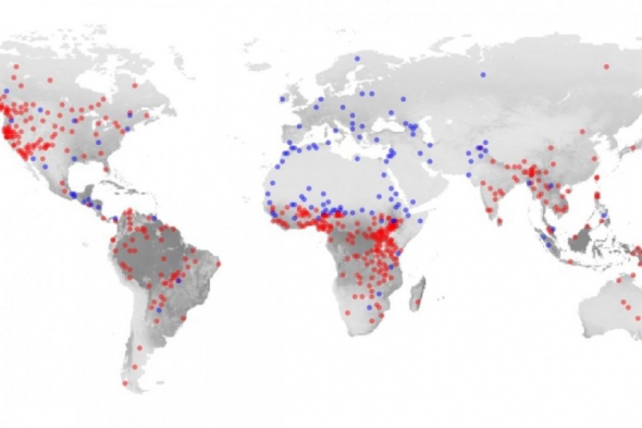  Атлас религий: красные точки обозначают регионы, где чествовали милосердных богов, синие точки обозначают, где люди молились строгим богам