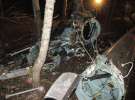 Авіакатастрофа в Росії забрала життя 5 людей