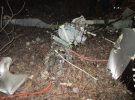 Авиакатастрофа в России унесла жизни 5 человек
