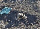 У зоні АТО знайдені тіла сімох українських військових