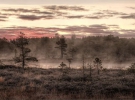 Национальный парк Мукрі в волости Рапла, Эстония.