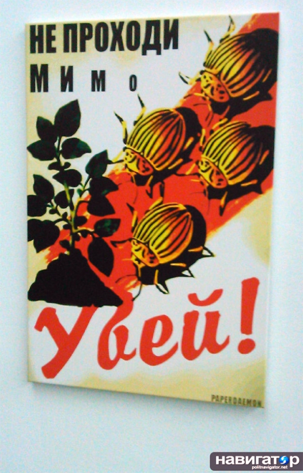 Плакат Антона Мирзина в РФ  "тянет" на заключение