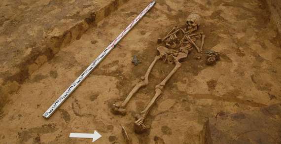 Захоронение воина в Грубешове, найденное археологами