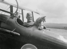 Лиса - талисман авиаторов, Франция, май, 1918