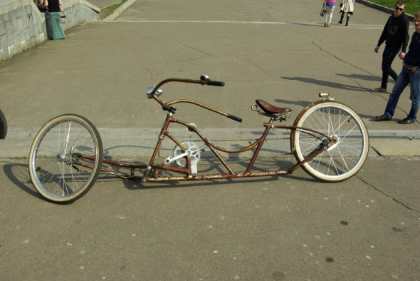 Алігатор
