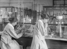 Женщины в научной лаборатории. Норвич.