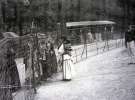 Вольєр, обнесений дротяним парканом, в людському зоопарку.