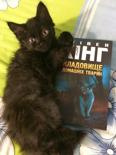 Деякі читачі не хочуть компенсацій чи обміну на якісне видання, вважаючи, що це видання-стидовище матиме цінність раритету