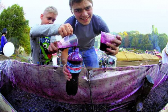 Під час свята ”Тбілісоба” в неділю, 4 жовтня, на столичному Співочому полі чавили виноград у великих дерев’яних ночвах. Захід до Дня міста Тбілісі проводять у Києві чотири роки поспіль. Вхід на фестиваль коштував 30 грн. За традиційними грузинськими стравами шикувалися черги в кілька десятків людей. Пригощали шашликом, хачапурі та хінкалі. Зі сцени присутніх розважали діджеї та київський гурт Man Sound