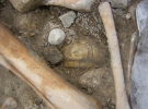 Частини мікенської кераміки знайденої поряд із залишками жертовних тварин. 