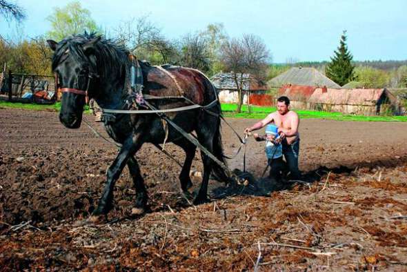 Чоловік разом із сином оре город в одному із сіл Сумської області в квітні цього року. Замість трактора використовує коня із ралом