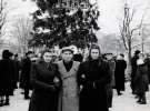 Новогодняя елка на проспекте Ленина, уже на новом расположении - на месте памятника Яну III Собескому. Теперь здесь расположен монумент Т. Шевченко. Фото 1955 года