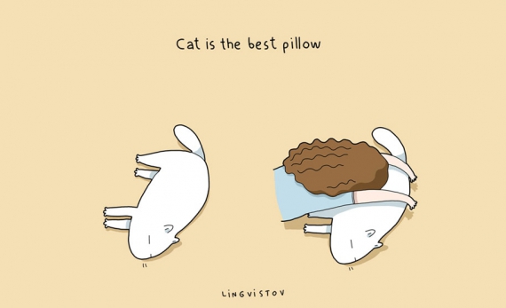 Кіт - це найкраща подушка
