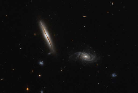 Галактика LO95 0313-192