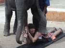 Слоновий массаж. В Chiang Mai (Таиланд) живут специально обученные слоны. Пускай у них нет сертификата об окончании медицинских курсов, зато они надрессированы легко «надавливать» на лежащих туристов и щекотать их хоботом. 