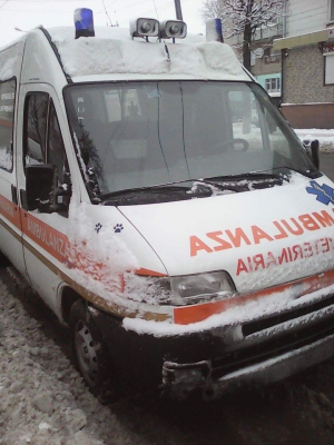 Фото Юлії Толмачової