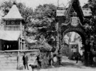 Триумфальная арка у входа в Краевую  лесную школу. Фото 1880