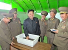 Северокорейский лидер Ким Чен Ын в 2013