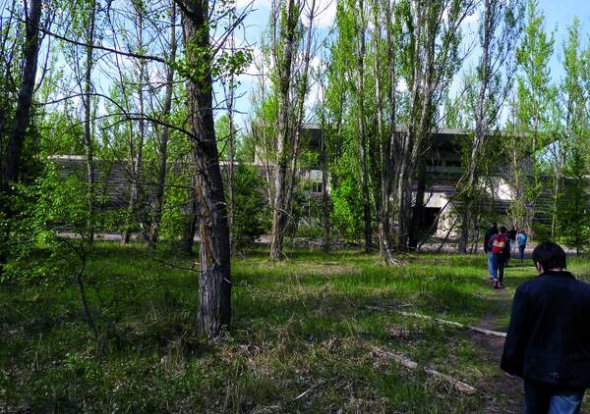 Стадіон ”Авангард” у покинутому місті Прип’ять заріс деревами. Офіційно відвідати закриту територію можна після звернення до Державної служби управління зоною відчуження.  Для туристів це коштує півтори тисячі гривень на день. Штраф за нелегальне перебування – 380 гривень