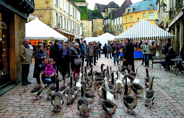 Щоберезня у французькому Сарла-ла-Канеда проводять фестиваль гусей. Місто відоме тим, що тут готують найсмачніший в країні паштет із гусячої печінки з трюфелями