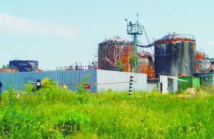 Територія згорілої торік бази ”БРСМ-Нафта” обгороджена двометровим парканом. Поіржавілі цистерни цілодобово охороняють