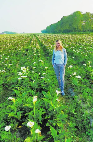 Мирослава Стратійчук (на фото) із чоловіком Олександром вирощують квіти в селищі Лужани Кіцманського району Чернівецької області. Засадили два гектари півоніями, тюльпанами, калами. Збувають їх оптовикам