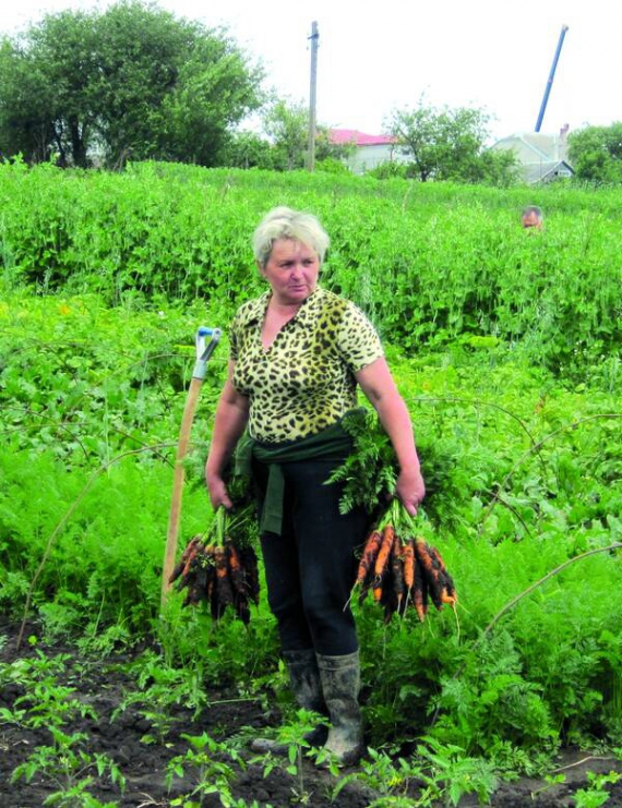 Ярослава Даник із села Великі Грибовичі Жовківського району Львівської області торгує городиною на ринку облцентру. Так заробляють на життя більшість селян