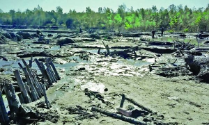 Для нелегального видобування бурштину викопують двометрові ями. Потім у них ставлять помпи, які розмивають ґрунт до 15 метрів углиб. На бурштинових ділянках не ростуть дерева, гинуть тварини. Є випадки утоплення людей