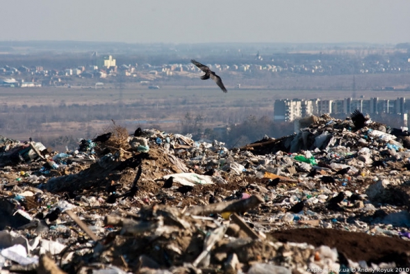 Грибовицкая свалка - единственное легальное место для скопления отходов из Львова и соседних сел. Занимает 33 га, действует с 1958 года