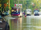 В Одесі злива затопила вулиці й будинки, вітер повиривав дерева. Негода на Одещині тривала близько 15 хвилин