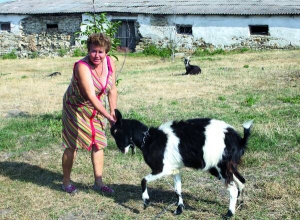 Жителька села Вербка-Мурована Ярмолинецького району на Хмельниччині Таїсія Стойко чухає за вухом свою козу. Переживає, щоб ­тварину не загризли вовки