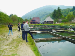 Туристи з Києва ловлять форель на фермі в селі Колочава Міжгірського району на Закарпатті. Господар дає вудочки безкоштовно. Кілограм риби коштує 250 гривень