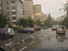 Во Львове из-за сильного дождя не вывезенный из дворов мусор «поплыл» по улицам