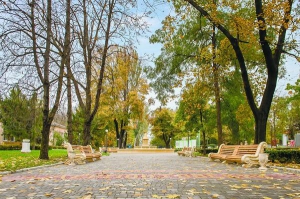 Санаторій ”Лермонтовський” розташований у власному парку на березі Чорного моря в центрі Одеси