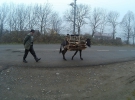 Чоловік везе дрова на віслюку в селі Ванк, Нагірний Карабах
