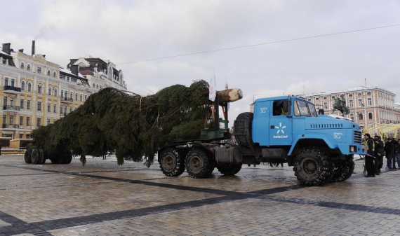 26-метровое дерево из села Вишневцы Ивано-Франковской области везли сутки на грузовике.