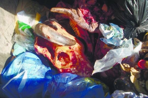 Кістки й нутрощі тварин працівники цеху з переробки м’яса в Полтаві викидали в сміттєві баки поряд із житловими будинками. Зараз їх регулярно забирає сміттєвоз