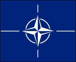 77% грузинів проголосували за вступ до НАТО
