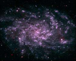 Учені отримали зображення сусідньої галактики