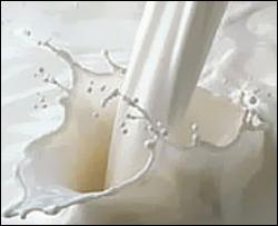 Екології Нової Зеландії загрожують 16 тис літрів пролитого молока