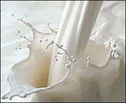 Экологии Новой Зеландии угрожают 16 тыс литров пролитого молока