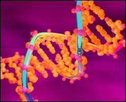 Шизофренію викликають мутації в сотнях генів