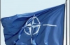 Саміт НАТО в Бухаресті: безкомпромісна Меркель і засмучений Буш (ФОТО)