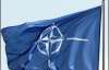 Саммит НАТО в Бухаресте: бескомпромиссная Меркель и огорченный Буш (ФОТО)