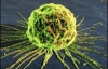 Учені знайшли бактерії, що живляться антибіотиками